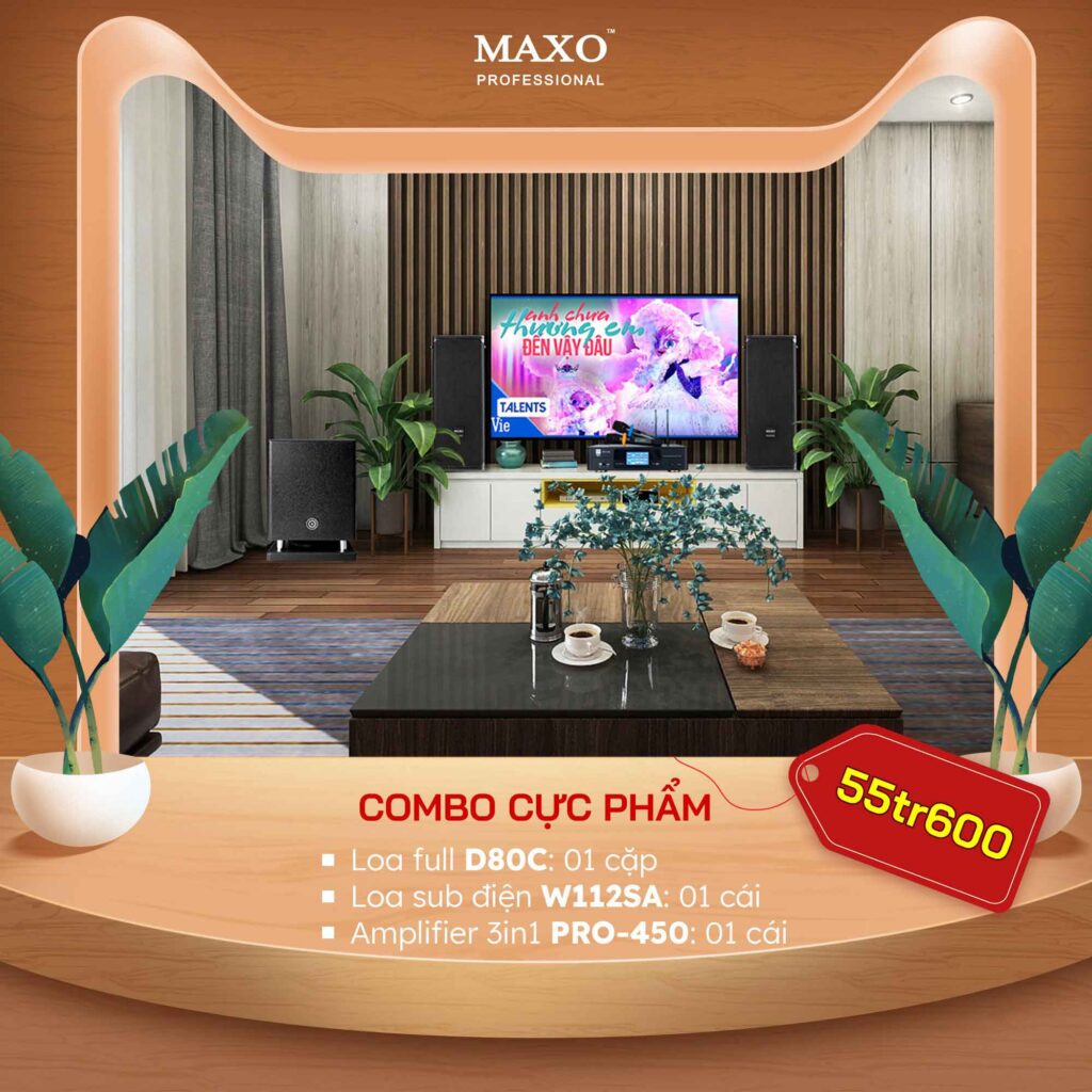 dan-karaoke-gia-dinh-cuc-pham