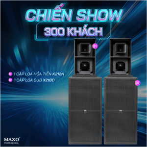 chien-show-300-khach-k212n-x218d-khong-gia
