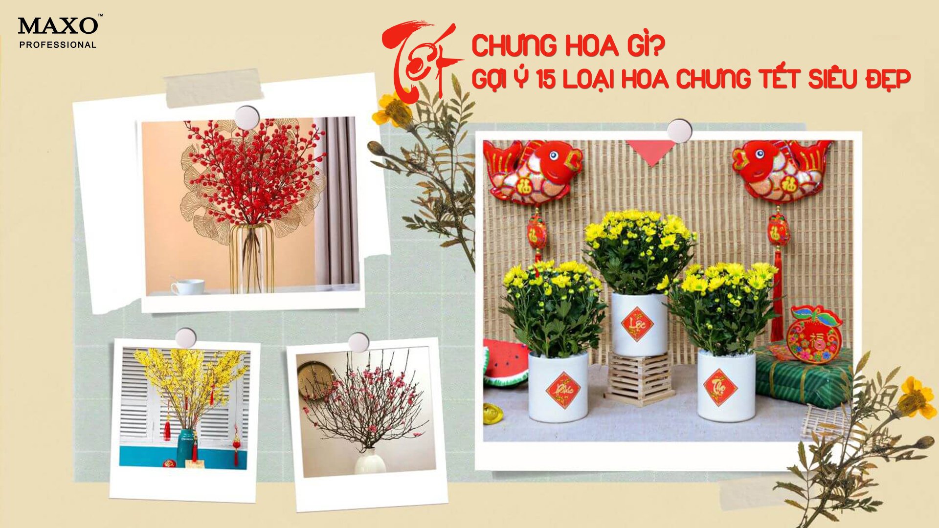 tet-chung-hoa-gi-goi-y-15-loai-hoa-chung-tet-sieu-dep